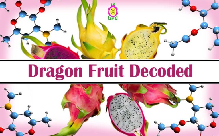 Dragon fruit decoded