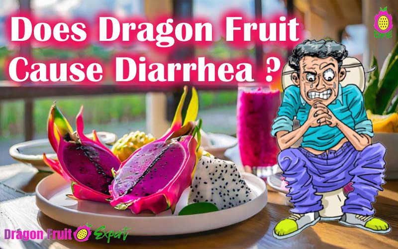 Dragon fruit and diarrhea