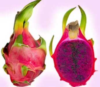 Red Dragon Fruit