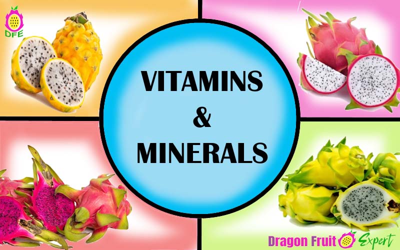 Vitamins and Minerals in Dragon Fruits