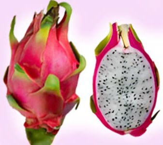 White Dragon Fruit