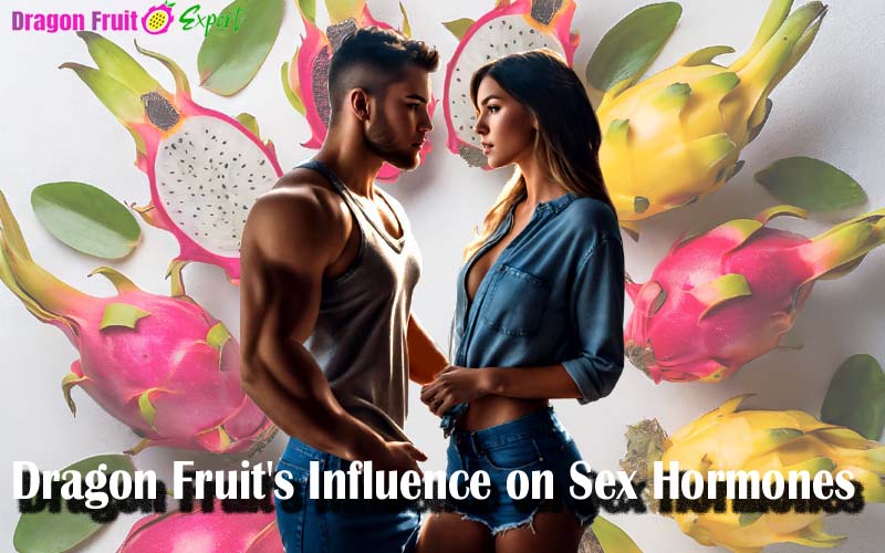 Dragon Fruit and Sex Hormones