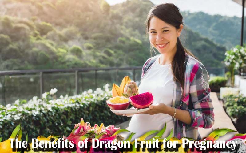 Dragon fruit for pregnancy